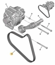 Peugeot-Citroen 5750RG DRIVE BELT
