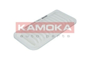 KAMOKA F * * * 1