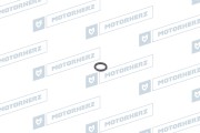 Motorherz H * * * 1