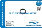 ROADRUNNER R * * * 1
