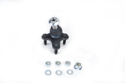ZF Russia 2 * * * R